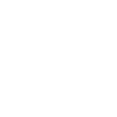 Exit Icon